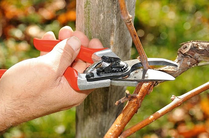 Felco F8 Pruning Shears – 8.3" Swiss-Made Garden Clippers with 1" Cutting Capacity for Ergonomic