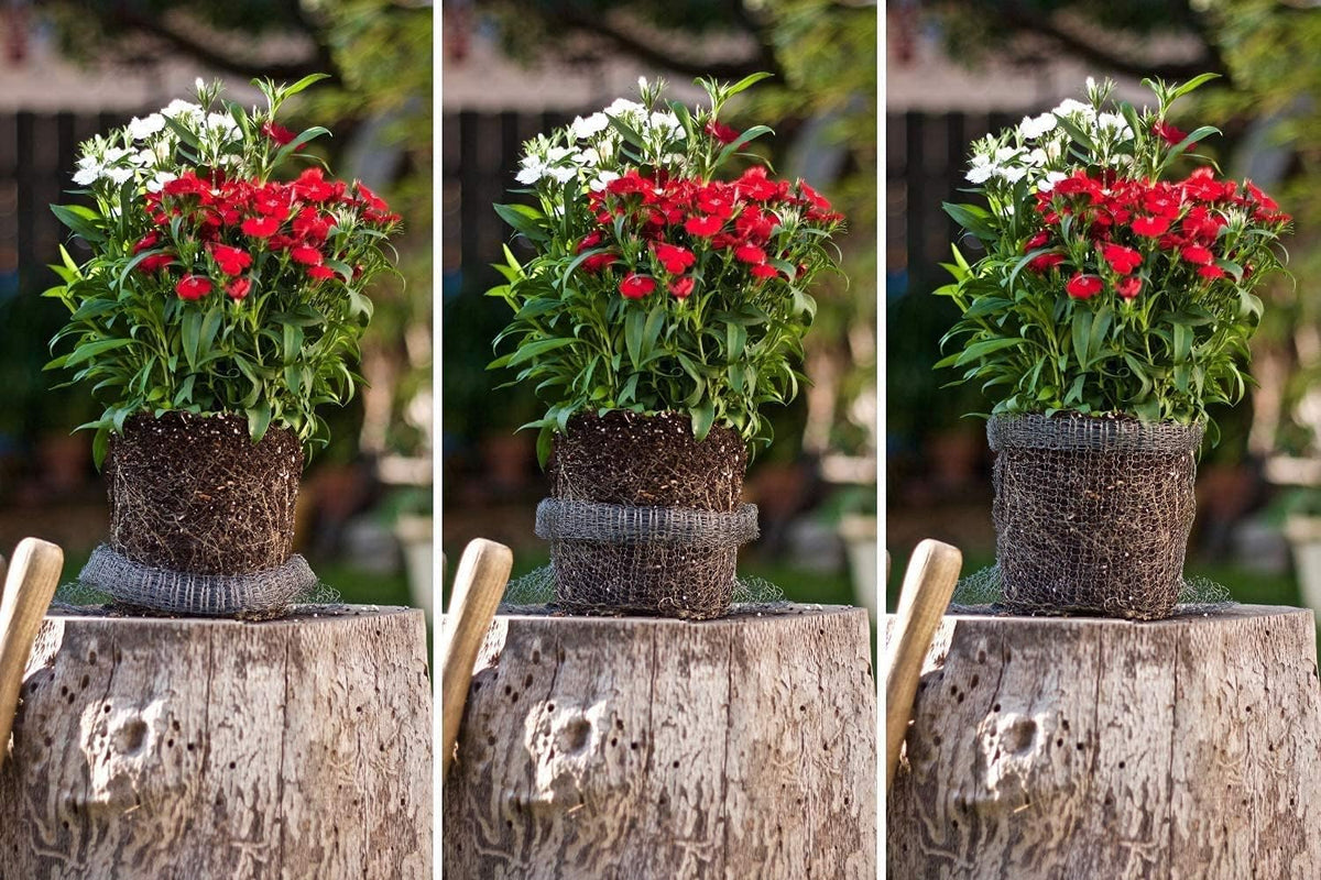 5pcs 5 Gallon Gopher and Vole Wire Baskets Protect Plants, Trees, Flowers and Bulbs from Voles
