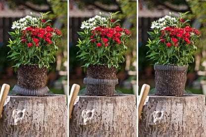 5pcs 5 Gallon Gopher and Vole Wire Baskets Protect Plants, Trees, Flowers and Bulbs from Voles
