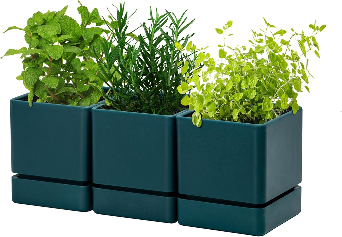 4 Inch Herb Planter Pot, Plastic Planter with Drainage Holes and Saucer, Modern Decorative