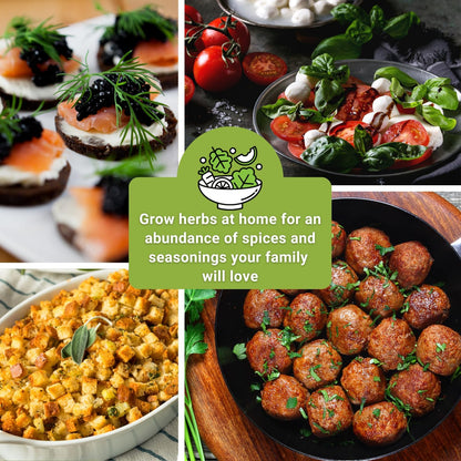 Sow Right Seeds - 15 Herb Garden Seed Collection for Planting - Essential Herbs for Cooking