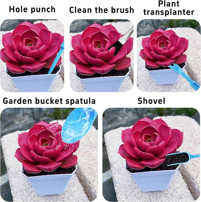 5Pcs Mini Succulent Tools Set, Plastic Garden Hand Tools Kit for Indoor Plant Care, Succulent