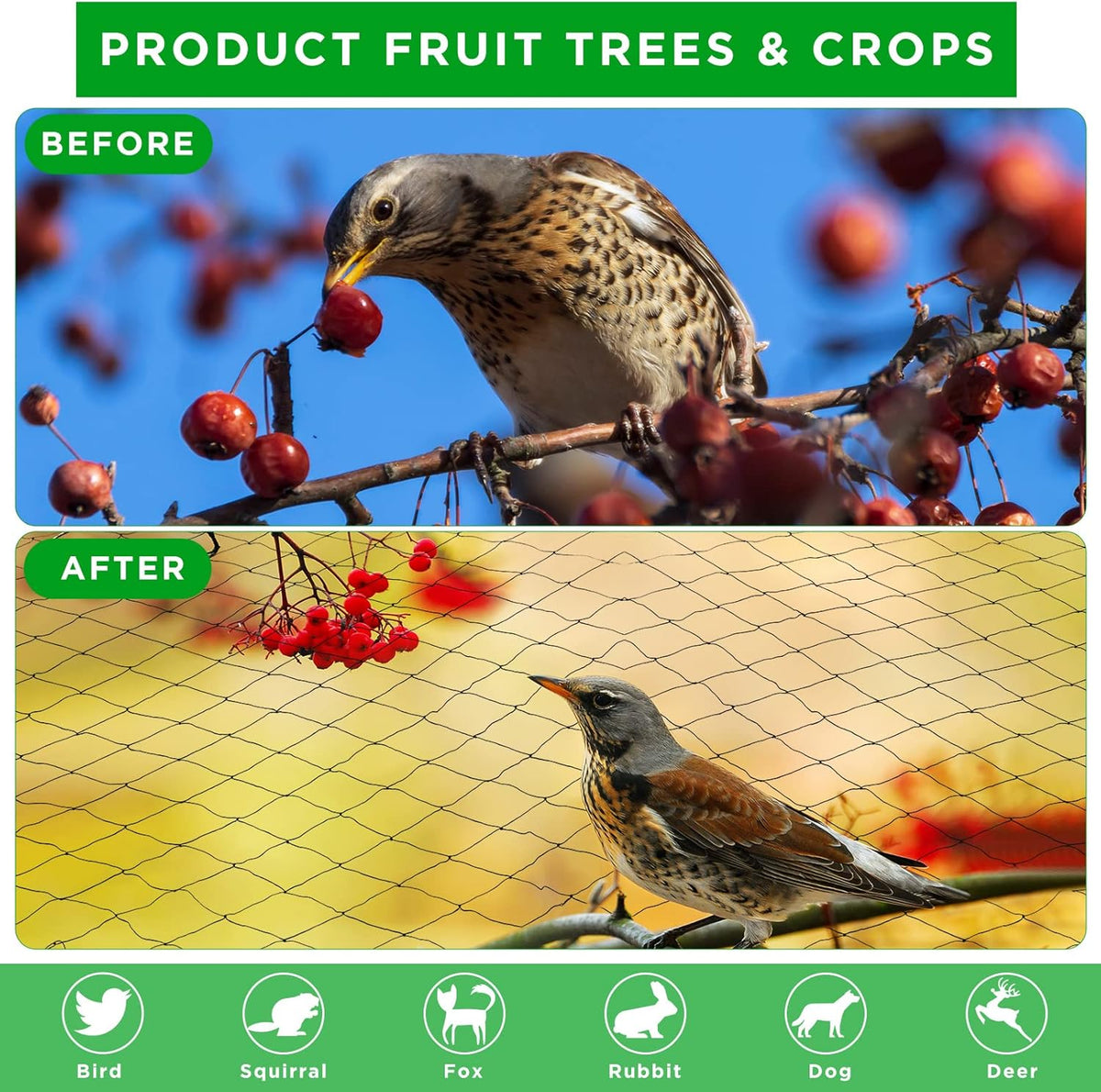 Windyun 1 Pc Bird Netting 50' x 100' Bird Net Chicken Coop 2.4" Mesh Heavy Duty Deer Fence Aviary