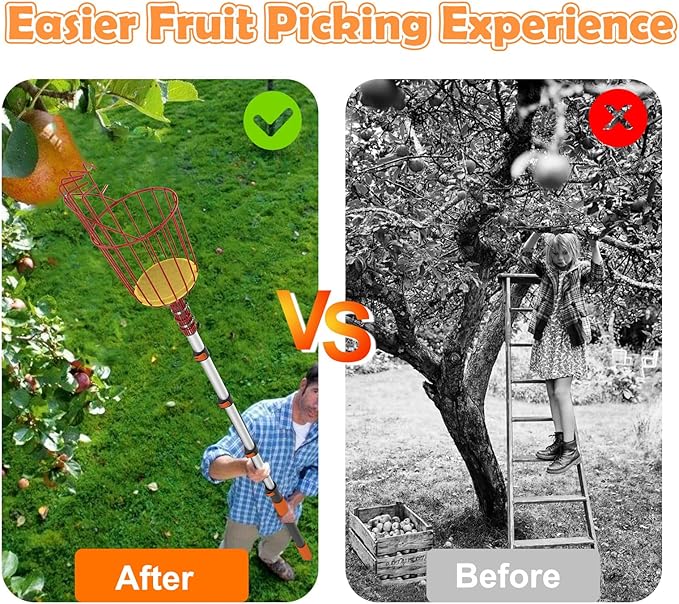 SISIUPASSIE 26FT Reach Fruit Picker, Apple Picker Pole with Basket Telescoping Tool for Apple Lemon