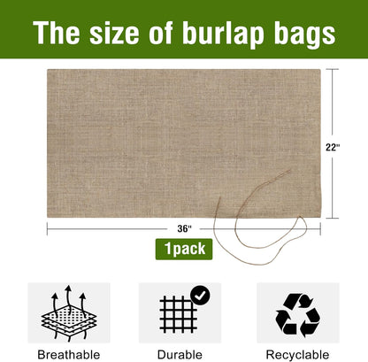 Agfabric Burlap Sack 1pack 22"×36", 100% Jute Storage Bag with String, Reusable Potato Storage Bag