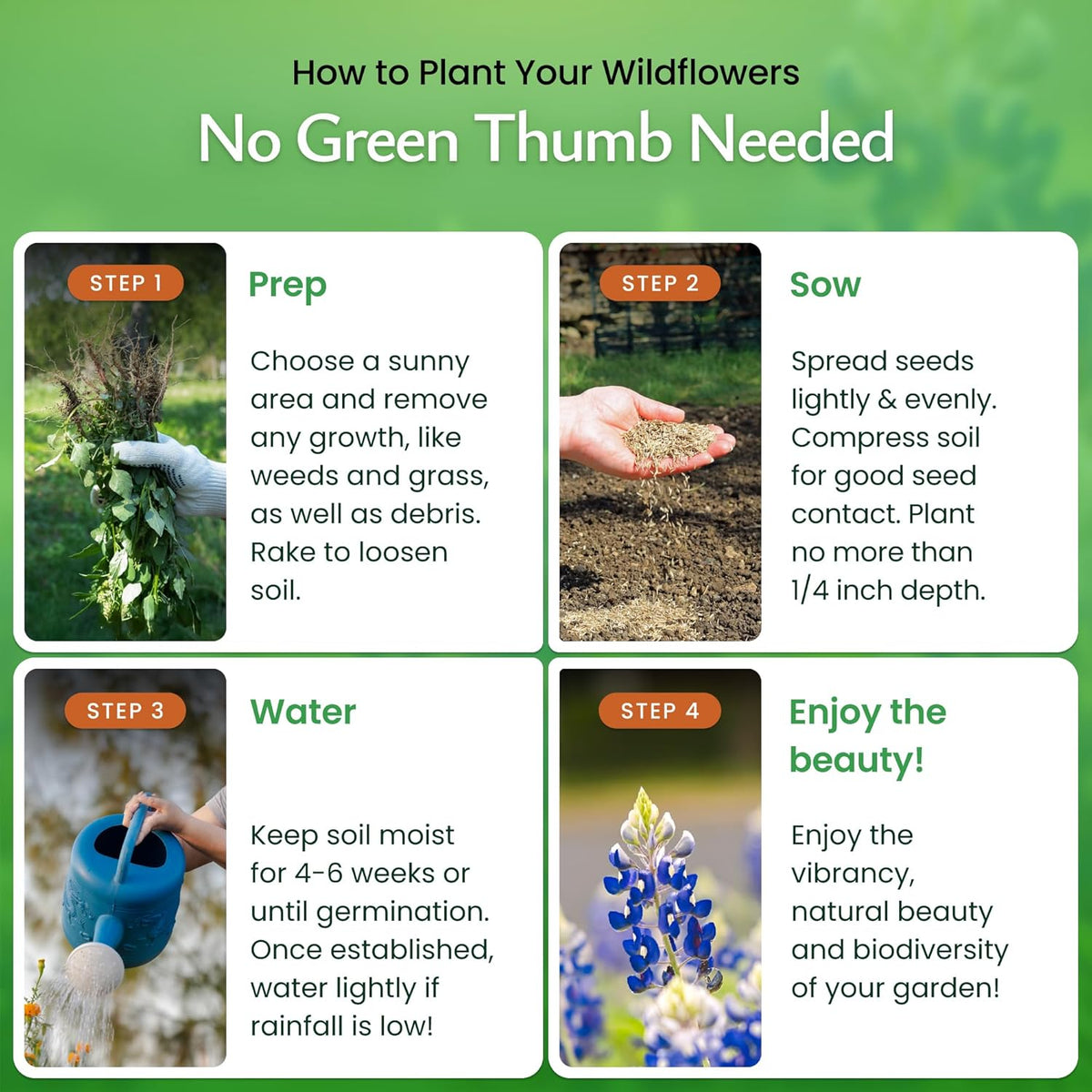 Created By Nature Texas Wildflower Seed Mix with Texas Bluebonnet Seeds, 17 Flower Varieties