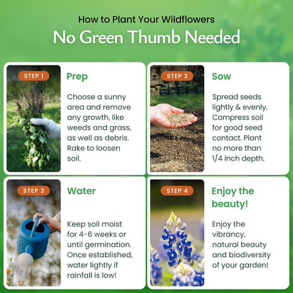 Created By Nature Texas Wildflower Seed Mix with Texas Bluebonnet Seeds, 17 Flower Varieties