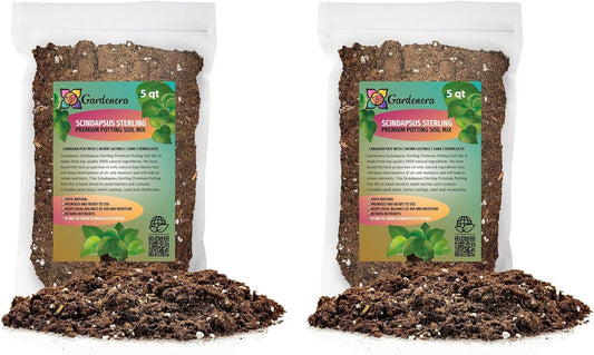 Gardenera Scindapsus Sterling Plant Potting Soil - All-Natural Blend for Thriving Scindapsus