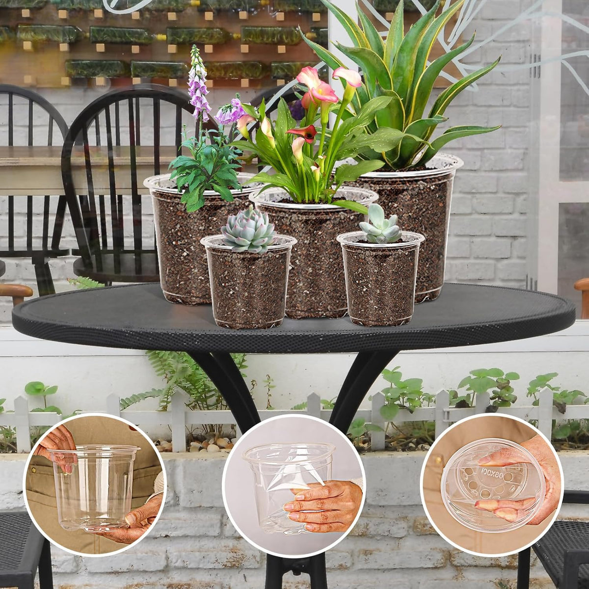 60 Pack 3.5/4/5/6/7 Inch Clear Nursery Pots with Drainage Hole,Variety Sizes Seed Starting Pots