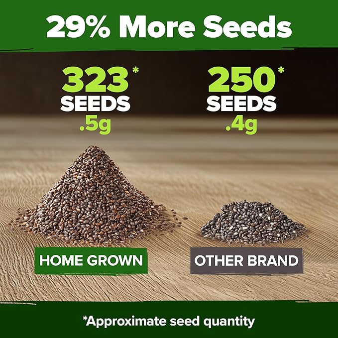HOME GROWN 𝗨𝗦𝗔 𝗣𝗥𝗘𝗠𝗜𝗨𝗠 White Sage Seeds 323 Pack 𝗡𝗢𝗡-𝗚𝗠𝗢 Heirloom Seeds - Grow