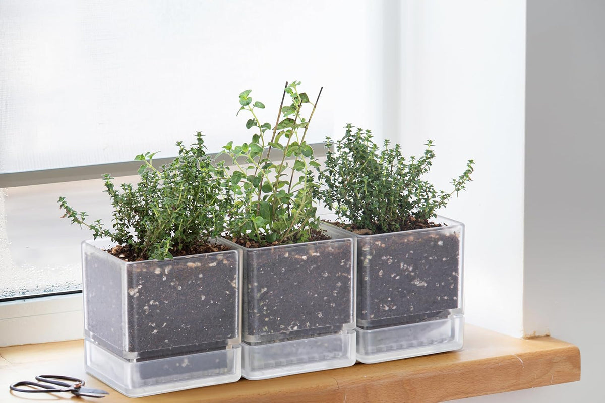 4 Inch Herb Planter Pot, Plastic Planter with Drainage Holes and Saucer, Modern Decorative