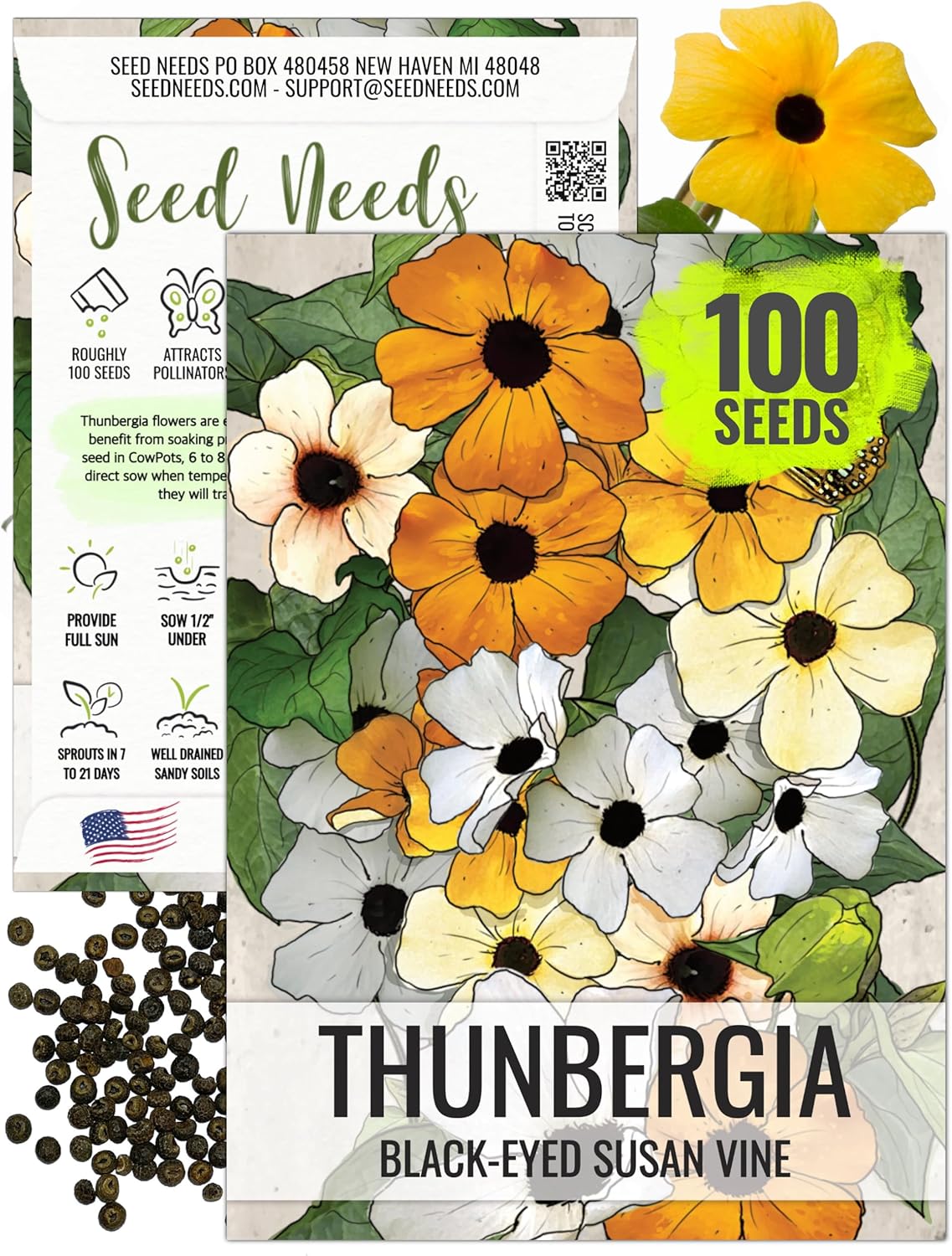 Seed Needs, Black-Eyed Susan Vine Seeds - 100 Heirloom Seeds for Planting Thunbergia alata - Annual