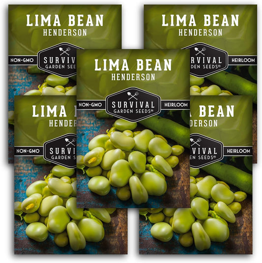 Lima Bean Seeds for Planting – Henderson Butter Bean Seeds for Gardens & Classroom Science