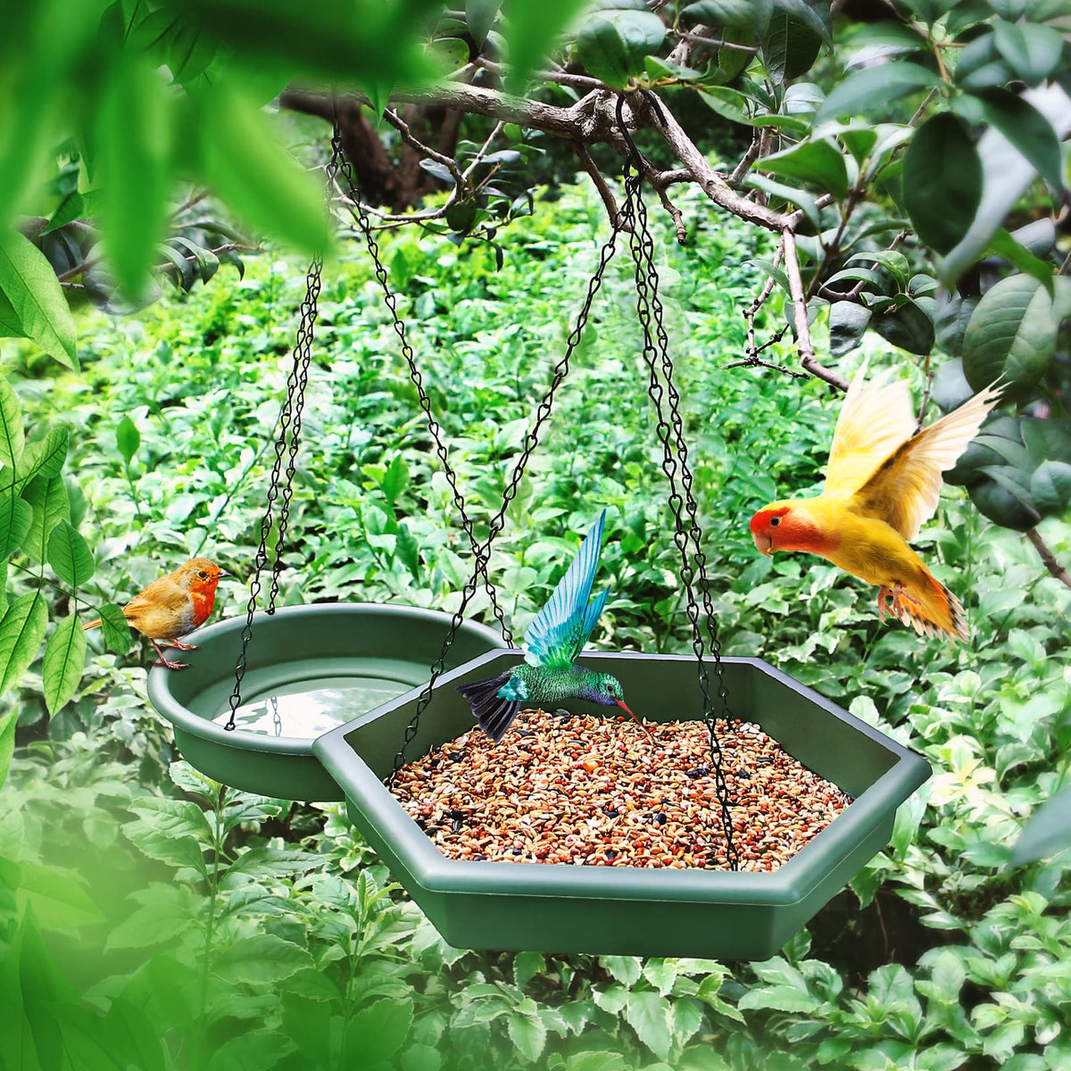 Hanging Bird Bath，2 in 1 XL Hanging Bird Feeder & Birds Bath for Outside