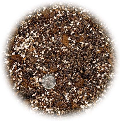 Gardenera Organic Banana Tree Soil Mix - Specially Designed for Thriving Banana Plants