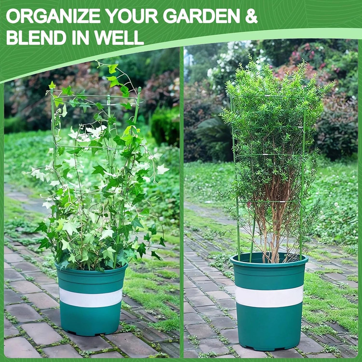 KLS 3 Pack Tomato Cage for Pots Plant Support, Upgrade 24 Inches Tomato Cages for Garden, Pepper