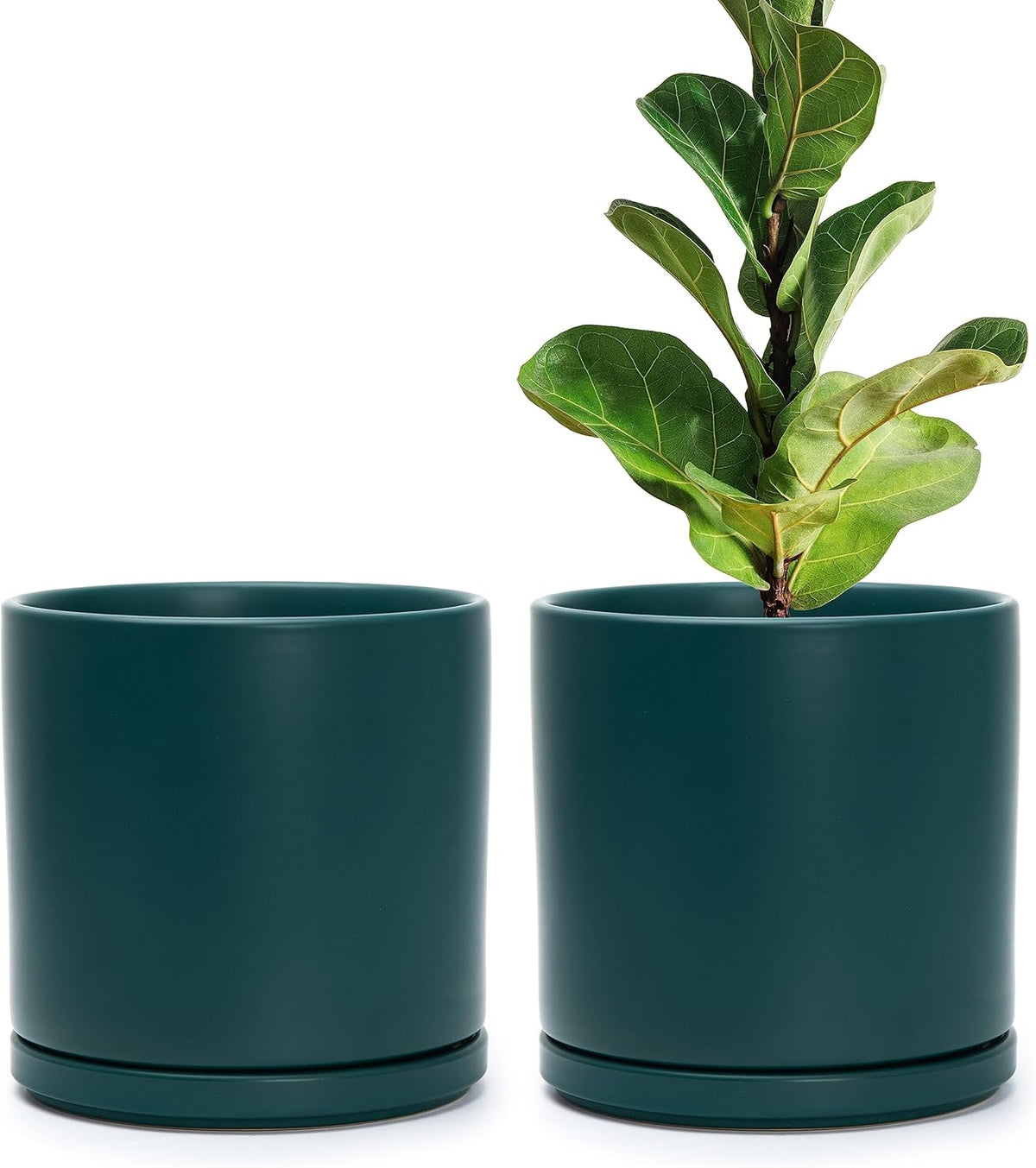 D'vine Dev Set of 2 Plants Pots, 8 Inch Ceramic Planter Pot for Plants with Drainage Hole and