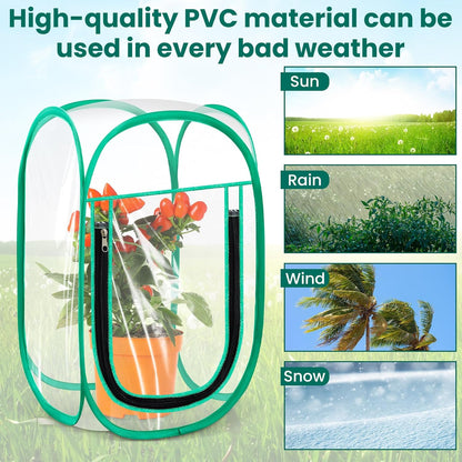 Nuanchu Pop up Mini Greenhouse Cover, PVC Clear Small Greenhouse with Nails 12" x 12" x 20" Inch