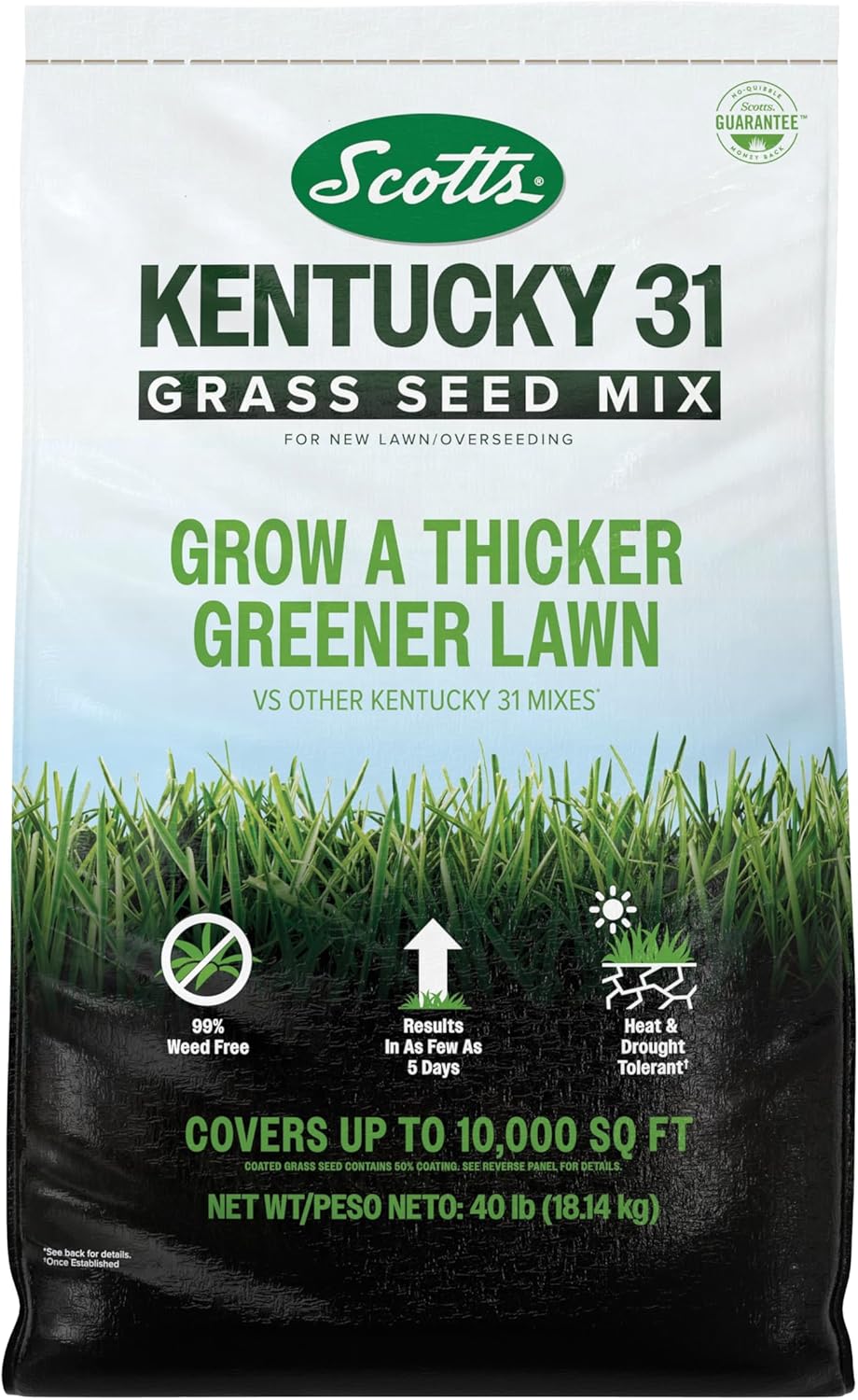 Scotts Kentucky 31 Grass Seed Mix for New Lawns or Overseeding, Grows Thicker and Greener vs. Other