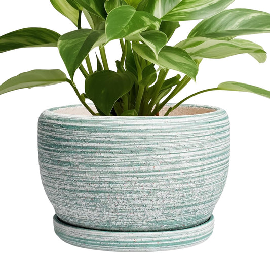 SQOWL Ceramic Planters for Indoor Plants - 8 inch Plant Pot Outdoor, Ceramic Flower Pot with