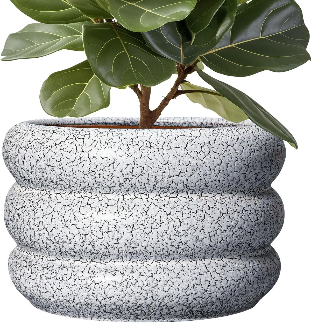 SQOWL Ceramic Plant Pots - 13.5 Inch Ceramic Planter with Drainage Hole, Large Round Planter for