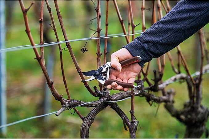 FELCO 6 ELITE Pruning Shears – 7.7" Swiss-Made Garden Clippers with Leather-Wrapped Handle for