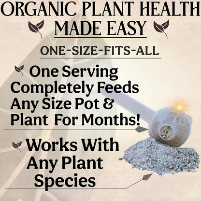 The All-in-One Complete Organic Plant Food, Indoor Plant Food for Houseplants, Organic Fertilizer
