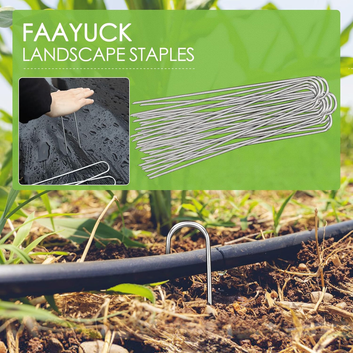 12 Inch Landscape Staples, 50 Pack Galvanized Landscape Stakes Heavy Duty 8 Gauge U-Shaped Garden