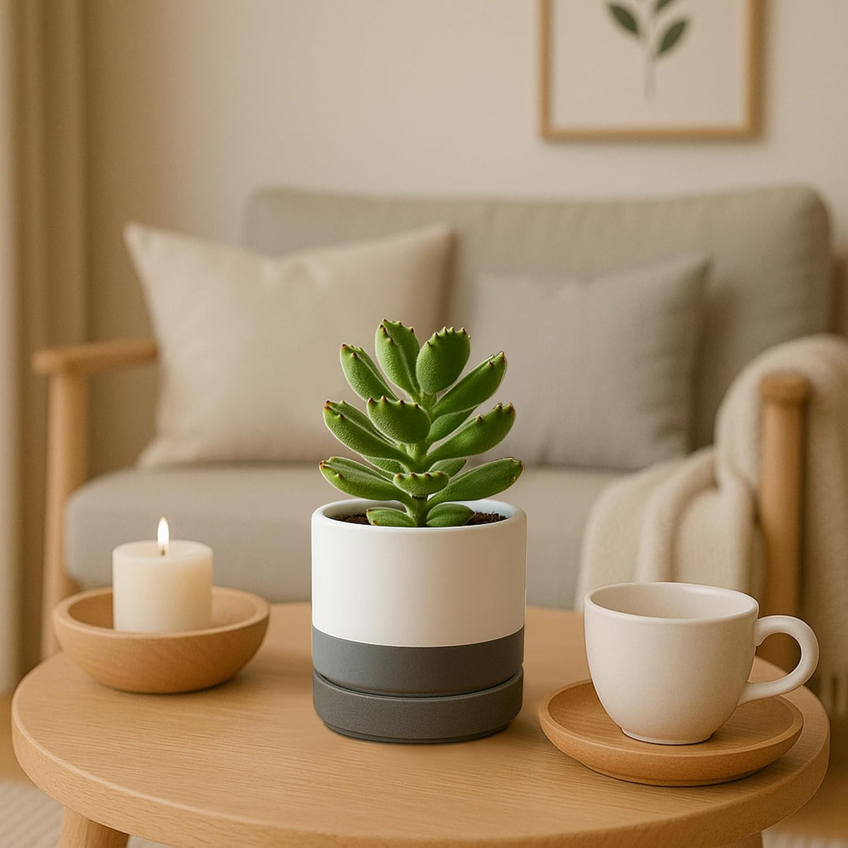 D'vine Dev Set of 2 Plants Pots, 4.7 Inch Ceramic Planter Pot for Plants with Drainage Hole and