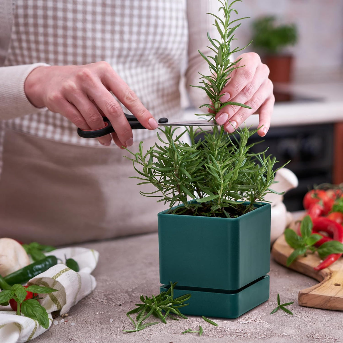 4 Inch Herb Planter Pot, Plastic Planter with Drainage Holes and Saucer, Modern Decorative