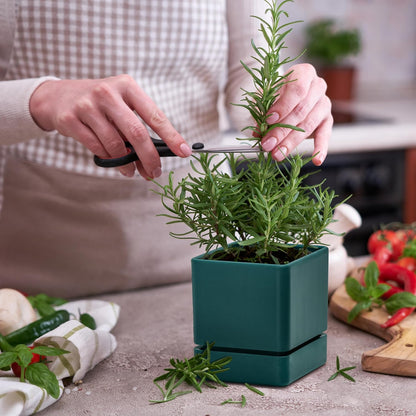 4 Inch Herb Planter Pot, Plastic Planter with Drainage Holes and Saucer, Modern Decorative