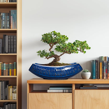 Bonsai Pots - 18 Inch Large Ceramic Succulent Pots for Indoor Outdoor, Bonsai Planter with Drainage