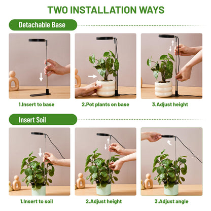 LBW Grow Lights for Indoor Plants, Full Spectrum Halo Grow Light with Base