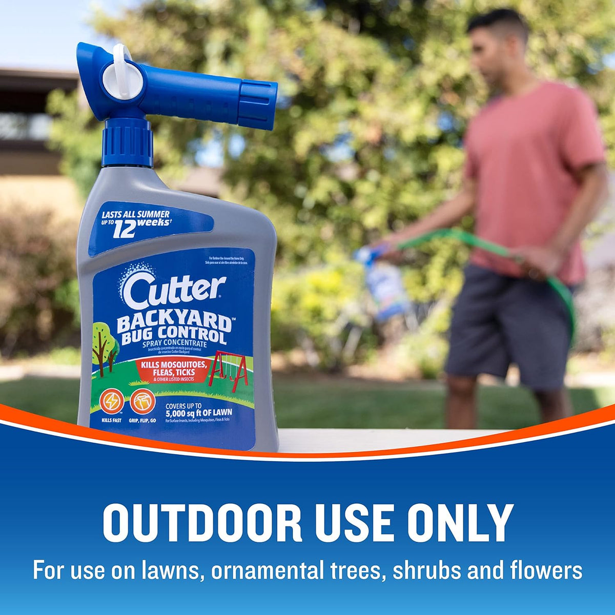 Cutter Backyard Bug Control Spray Concentrate (6 Pack), Kills Mosquitoes, Fleas & Listed Ants, 32