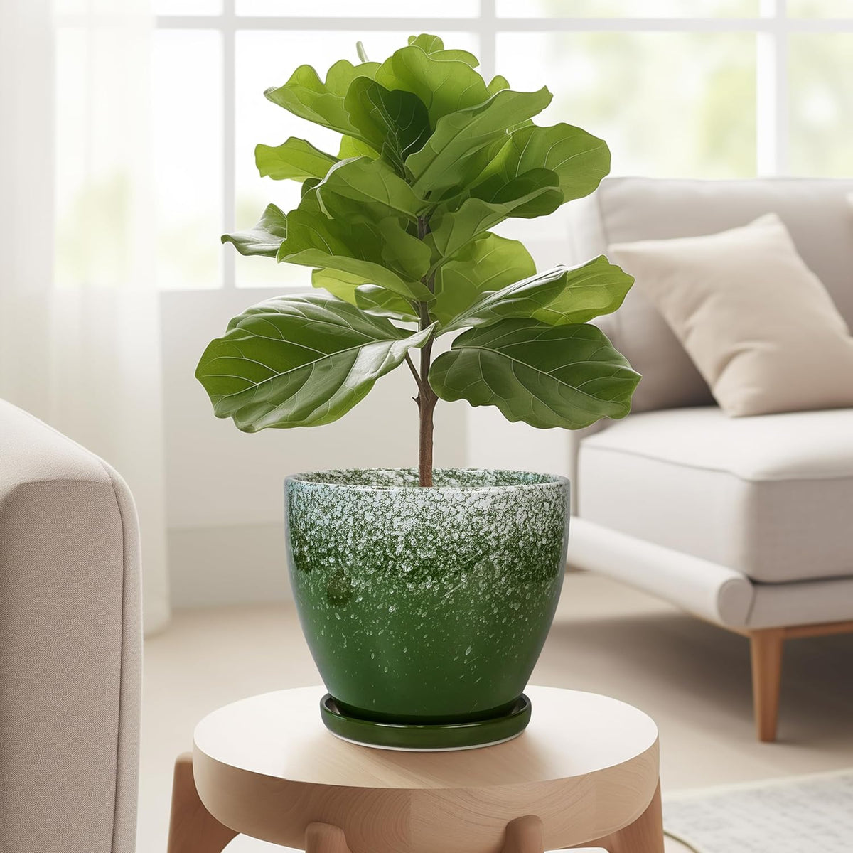 Ceraimc Plant Pot - 6 Inch Planter with Drainage and Plant Tray, Round Succulent Planters