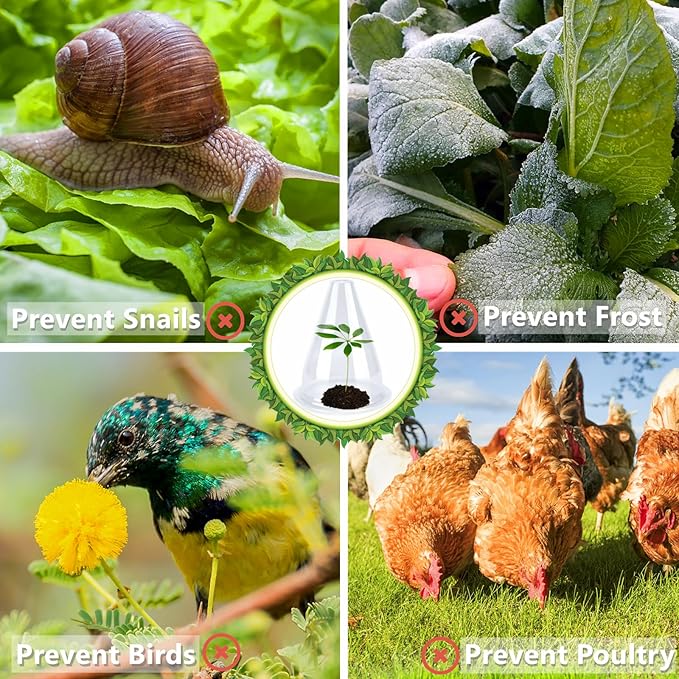 【24 Pieces】 Garden Cloches for Plants, Plant Cover Plant Protectors Transparent Bell Jar Cloches