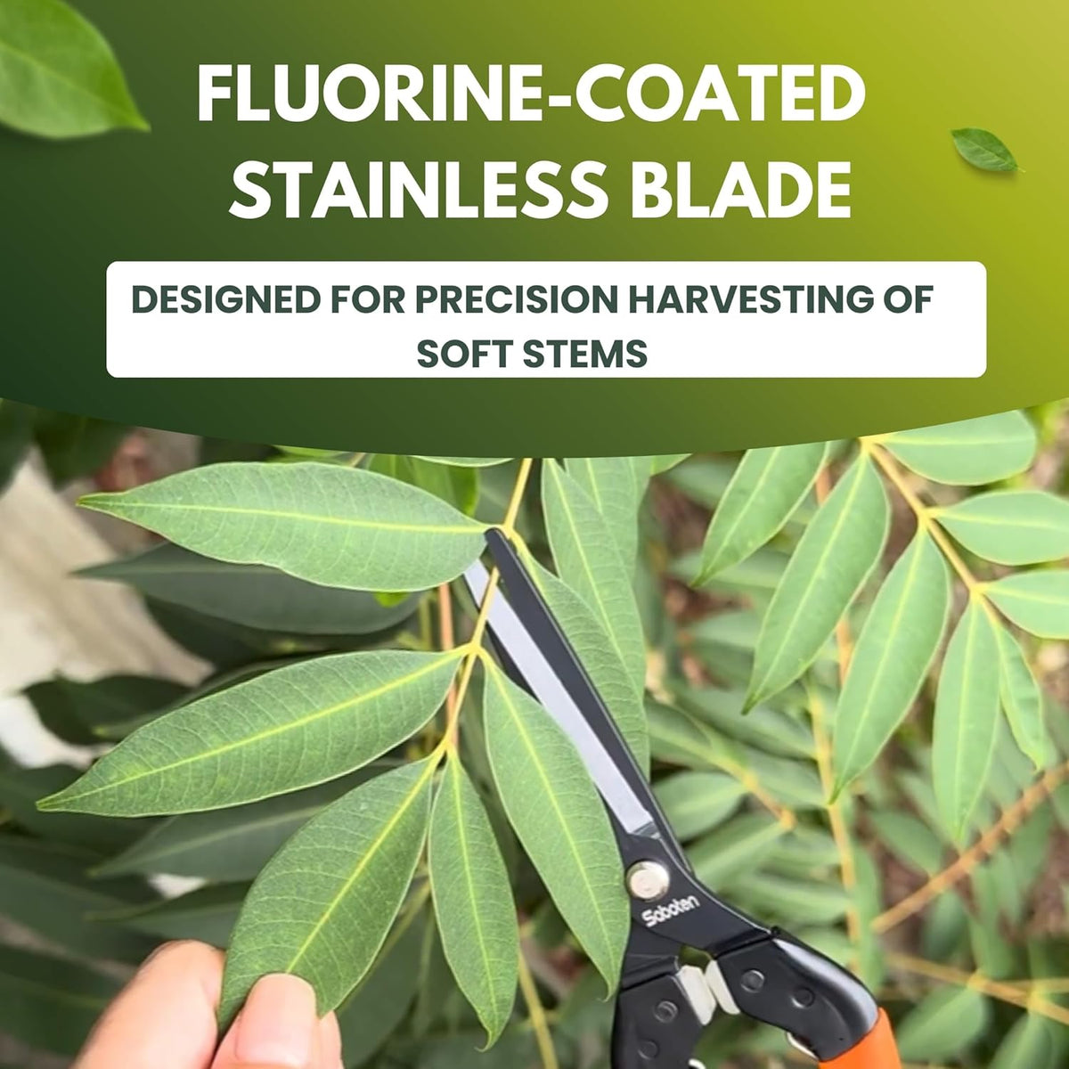Saboten 7.9" Professional Japanese Harvesting Shears – Straight Blade, Stainless Steel with