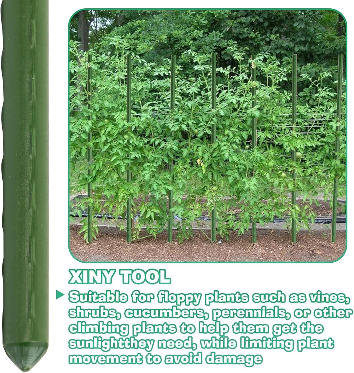 Xiny Tool Garden Stakes, 15 Pack 8 FT Steel Plant Garden Tomato Stakes with Plastic Coat for