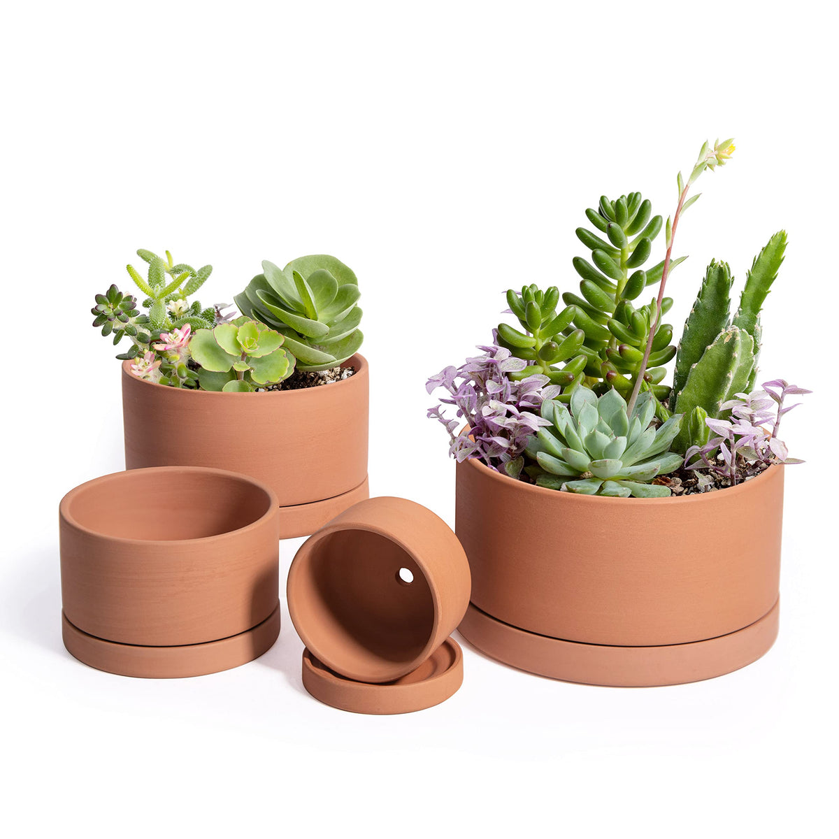 D'vine Dev Set of 4 Terracotta Shallow Planter Pots for Succulent, 3 Inch 4 Inch 5 Inch 6 Inch