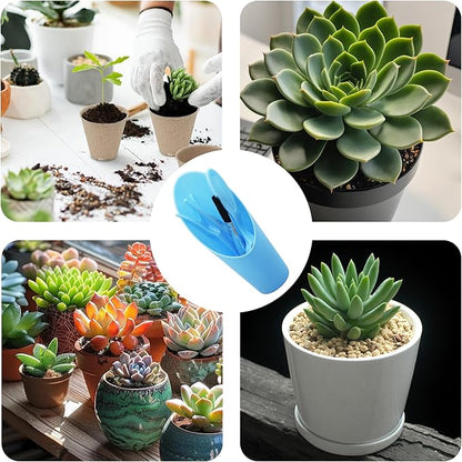 5Pcs Mini Succulent Tools Set, Plastic Garden Hand Tools Kit for Indoor Plant Care, Succulent