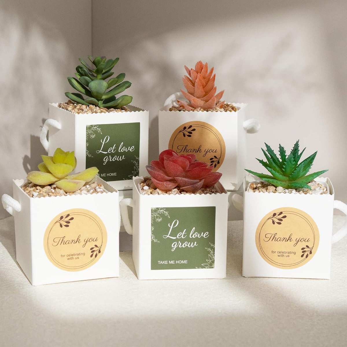 Temlum 2.5 Inch Succulent Wrap Bags (Fits 2.5″ Pots) with Thank You & Let Love Grow Stickers