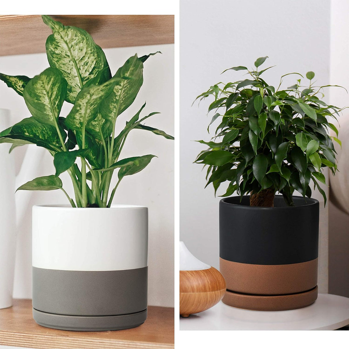 D'vine Dev Set of 2 Plants Pots, 6 Inch Ceramic Planter Pot for Plants with Drainage Hole and