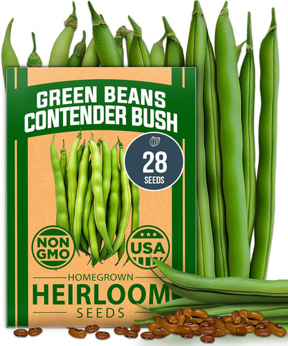 HOME GROWN 𝗨𝗦𝗔 𝗣𝗥𝗘𝗠𝗜𝗨𝗠 Contender Bush Bean Pack - 28 𝗡𝗢𝗡-𝗚𝗠𝗢 Heirloom Green Beans