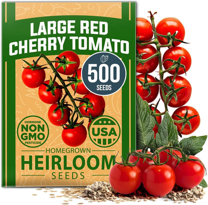 HOME GROWN Large Red Cherry Tomato Seeds Pack– 500 High Germination Heirloom Seeds – 𝗡𝗢𝗡-𝗚𝗠𝗢