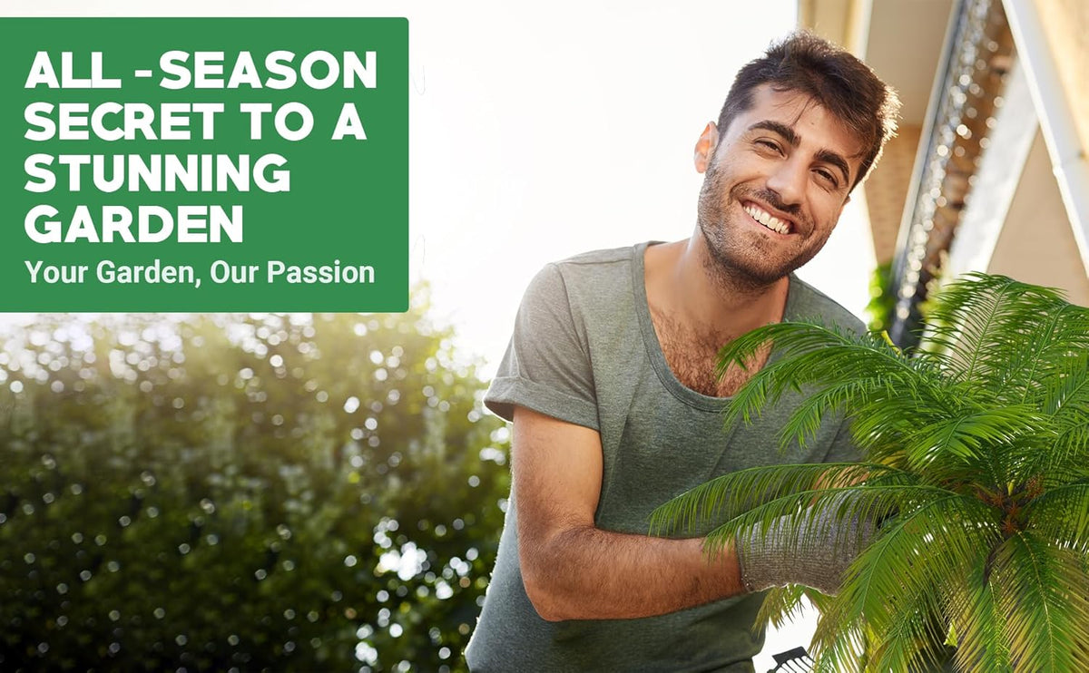 8-4-8 Professional Palm Tree Fertilizer Plant Food; for Indoor Potted Plants and Outdoor Landscape