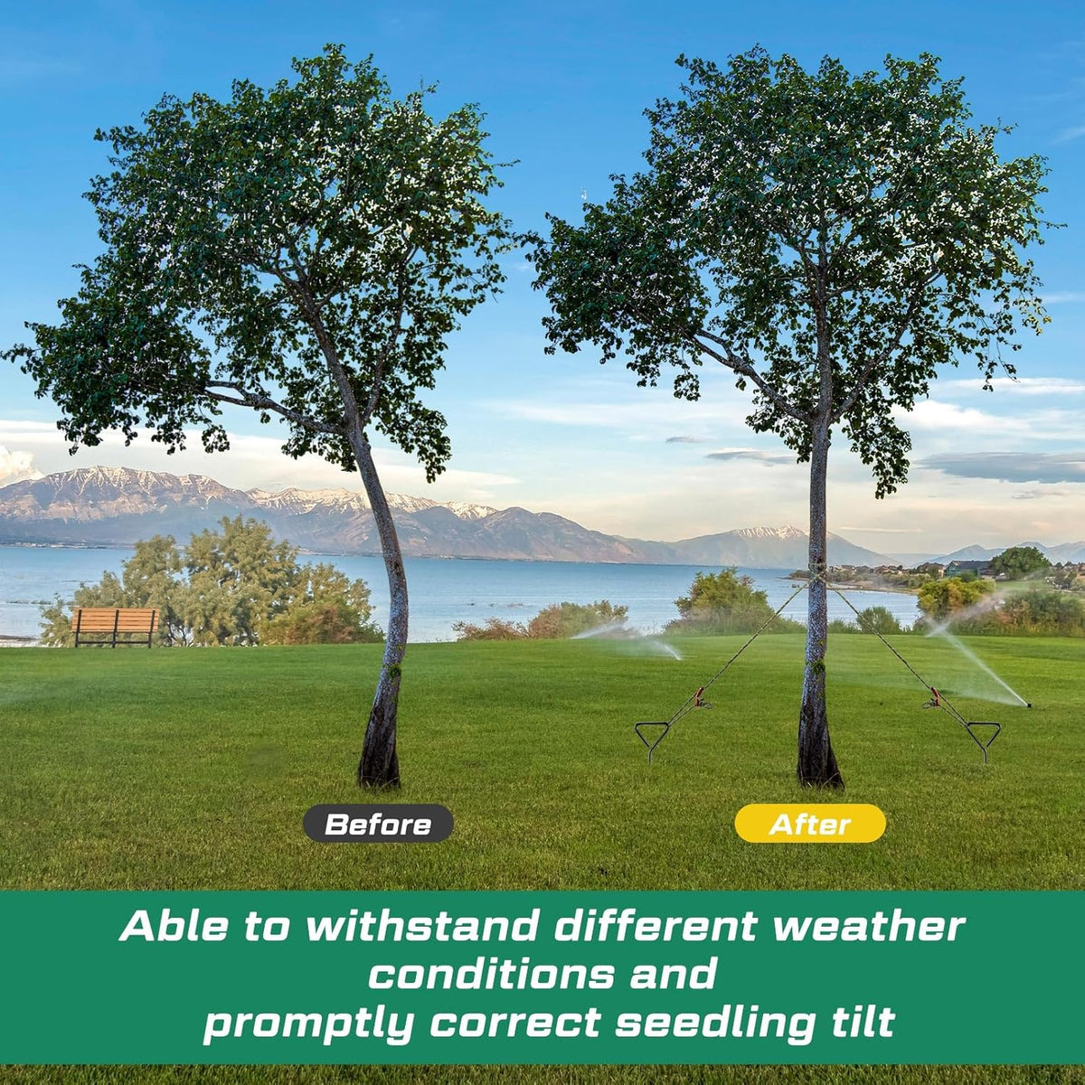 Sintuff 12 Set Tree Stakes and Supports Kit for Anti Hurricane Leaning Trees Straightening Heavy