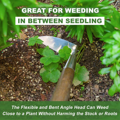 Haliaeetus Sickle Hoe, 58'' Long Handle Japanese Hand Hoe for Standing to Remove Weed, Stainless