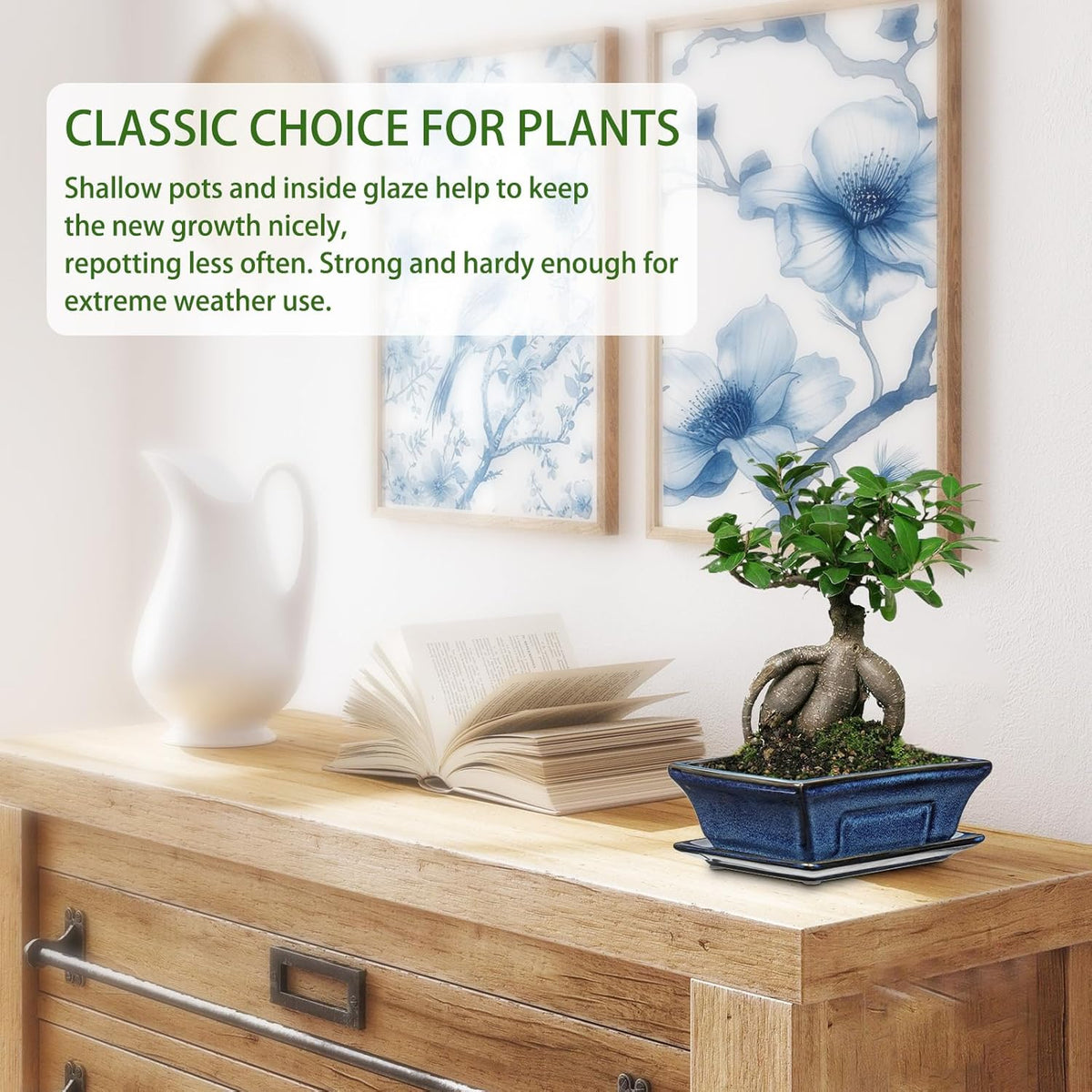 Ceramic Bonsai Pots with Drainage Tray Set of 2, 6 Inch Blue Glazed Bonsai Planters for