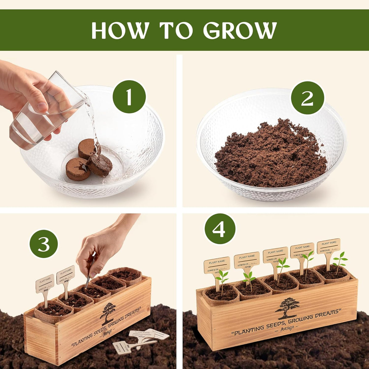 AVERGO Bonsai Tree Kit for Beginners – 5X Unique Japanese Bonzai Trees | Complete Indoor Starter