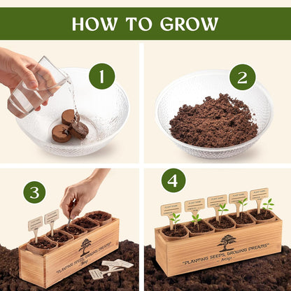 AVERGO Bonsai Tree Kit for Beginners – 5X Unique Japanese Bonzai Trees | Complete Indoor Starter